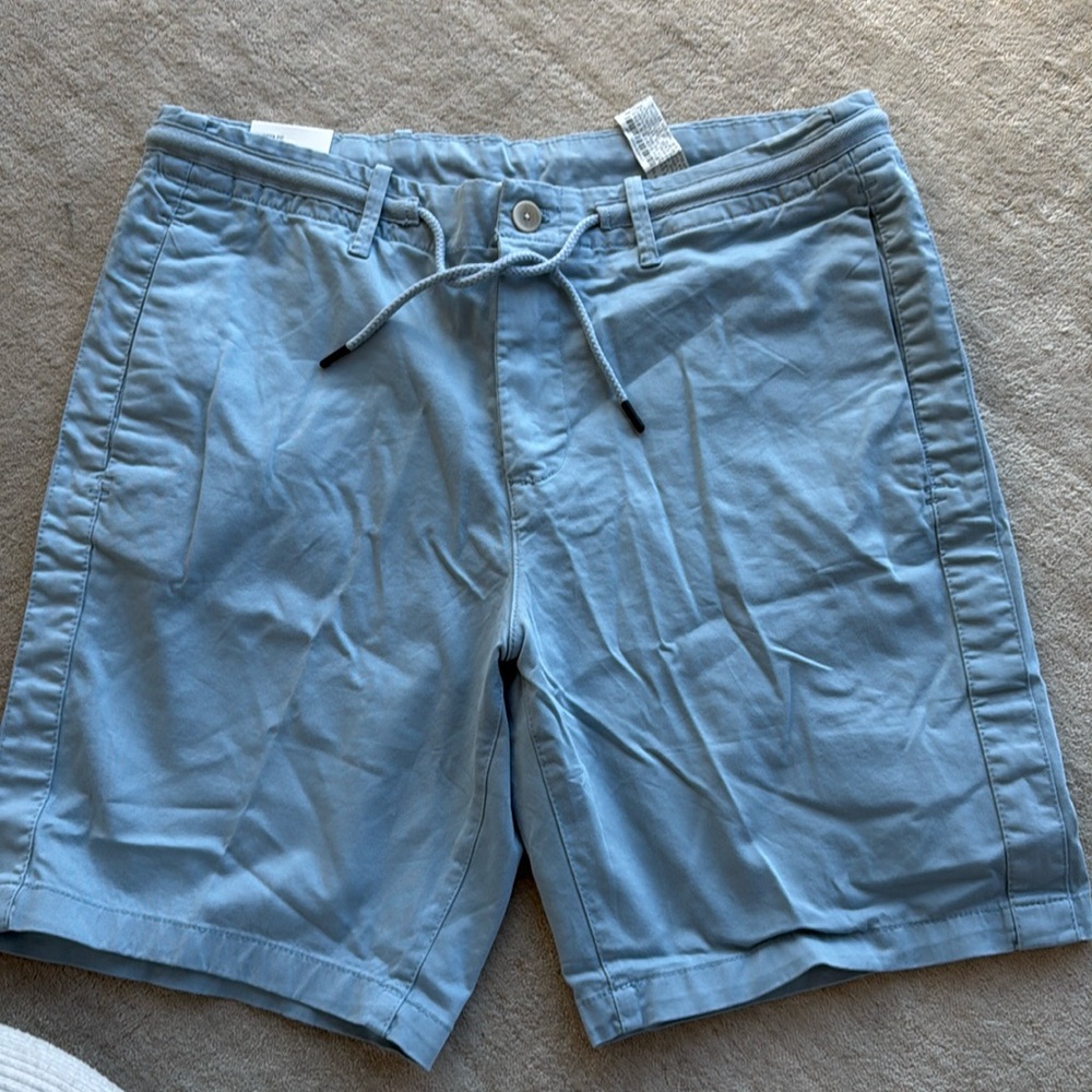 Zara Men Shorts. NWT